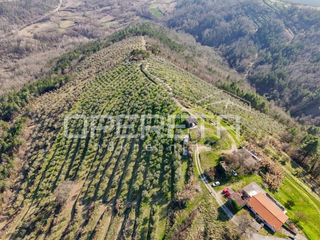 Veliko imanje od 170 000 m2 s predivnim pogledom