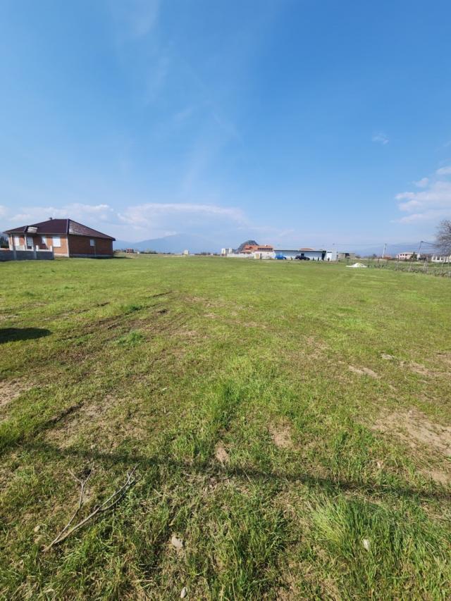 Plac od 3000m2 - Pržine