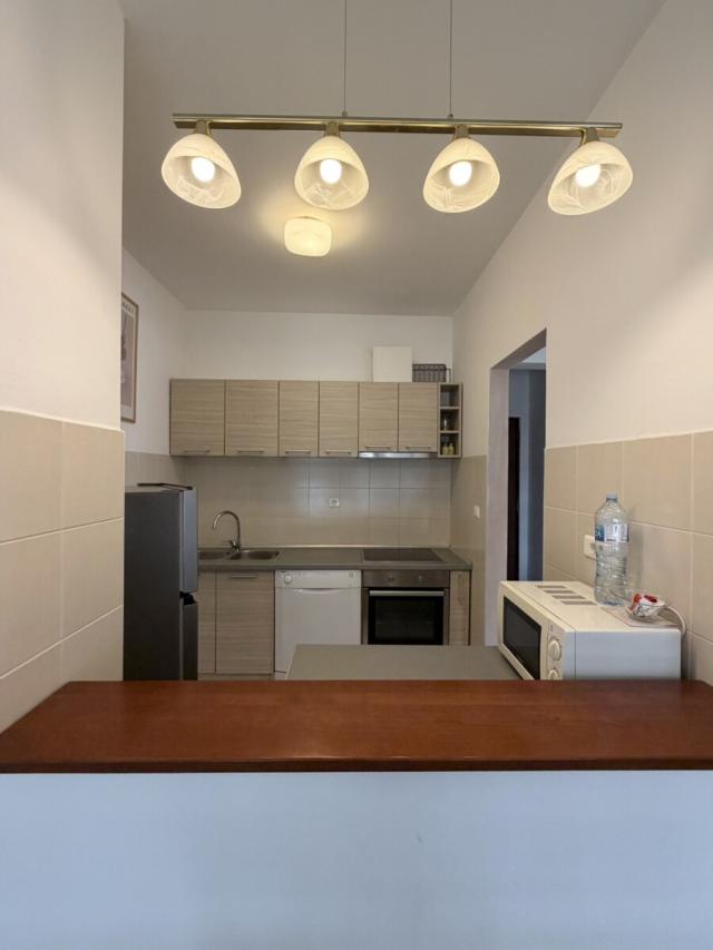 Dvosoban stan, 100m2, Preko Morače, IZDAVANJE
