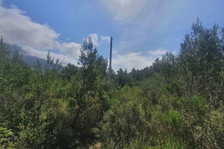 Urbanized plot with sea view URGENTLY! - price 155'000 euros