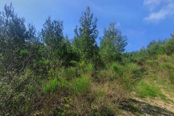 Urbanized plot with sea view URGENTLY! - price 155'000 euros