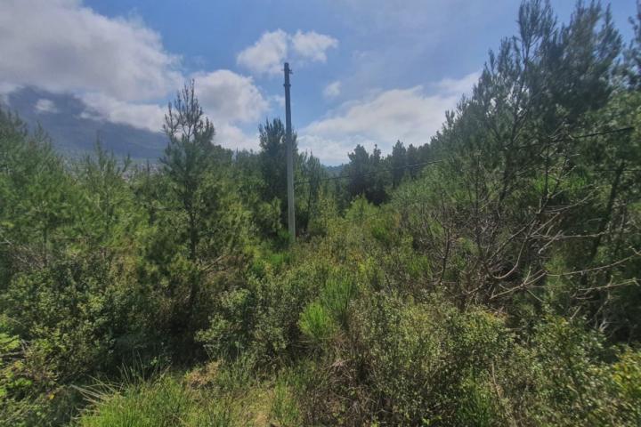 Urbanized plot with sea view URGENTLY! - price 155'000 euros
