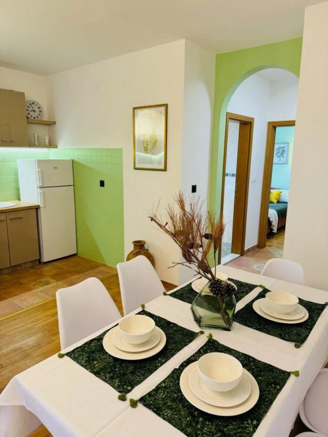 Large five-room apartment with its own garden in Petrovac. 