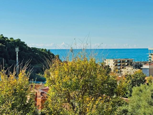 Large five-room apartment with its own garden in Petrovac. 