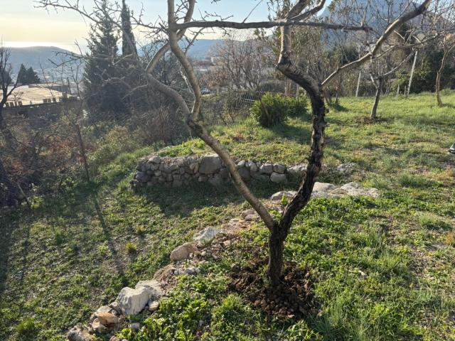 House for sale with a view of the Adriatic in the picturesque Sutomore, Bar Riviera
