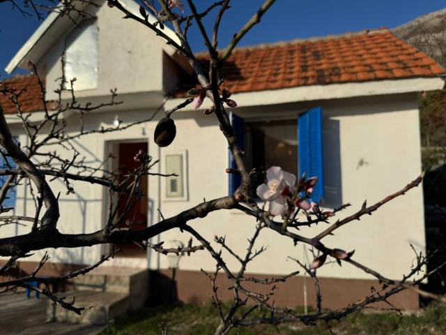 House for sale with a view of the Adriatic in the picturesque Sutomore, Bar Riviera