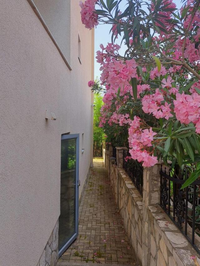 Studio with sea view in Utjeha, Hladná Uvala, Urgent sale. 