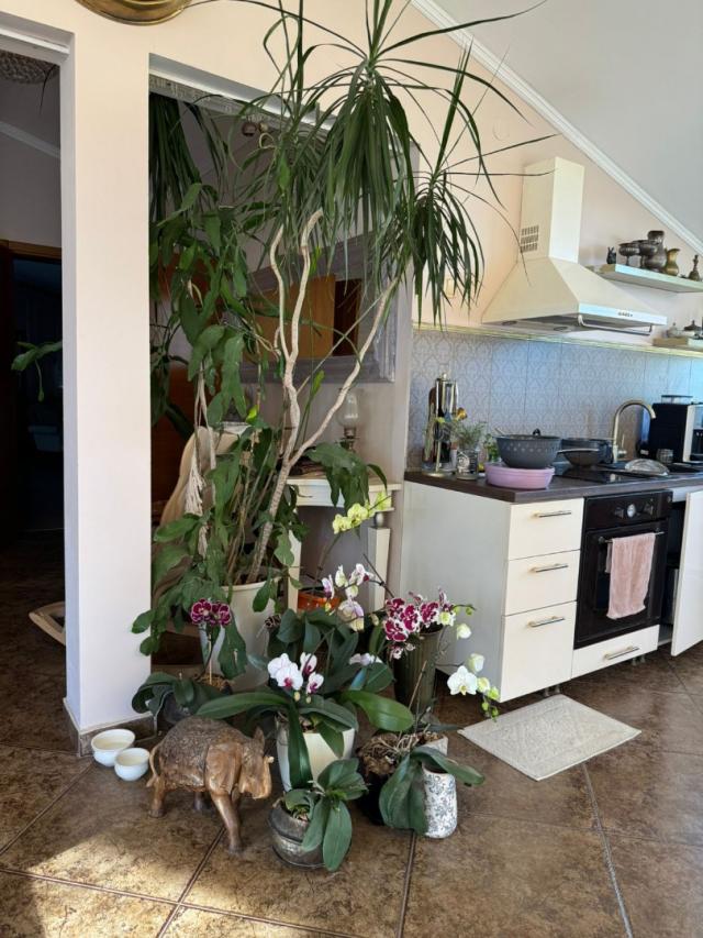 Bar, Shushan. Three-story house with a garden and sea views. €365,000