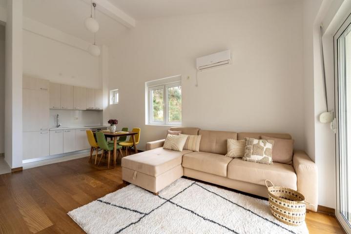 Bright and cozy 2-bedroom apartment with sea view in Przno, Budva Riviera. 