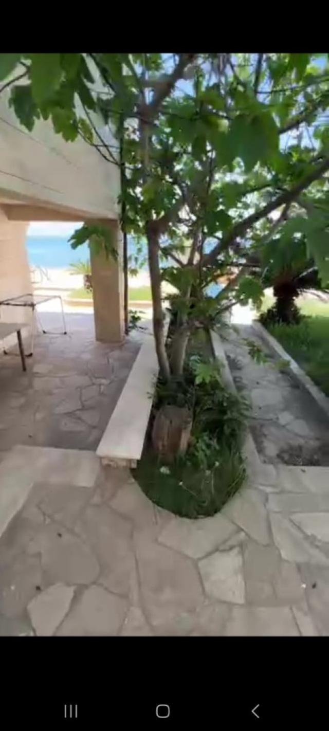 Villa for reconstruction 1st line of the sea