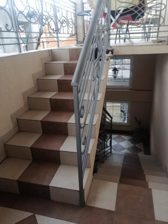 A house by the sea in Bar, Ilino district, is ideal for living and income. 