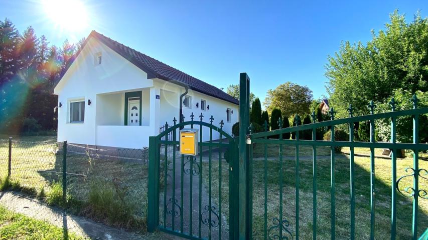 House for sale near the river, surrounded by nature, in the town of Belo Pole, village of Voljavac