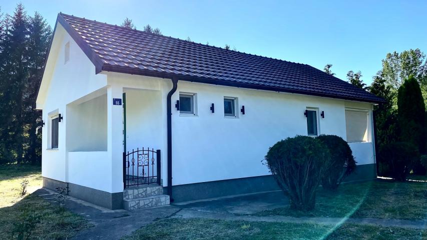 House for sale near the river, surrounded by nature, in the town of Belo Pole, village of Voljavac