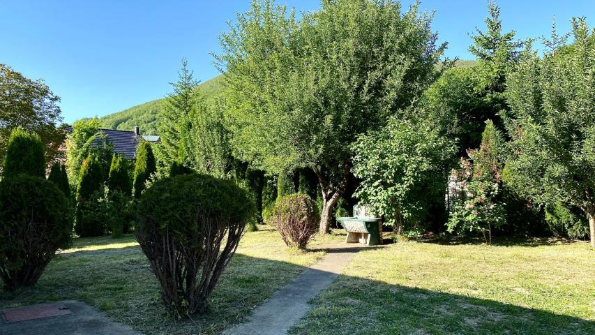 House for sale near the river, surrounded by nature, in the town of Belo Pole, village of Voljavac