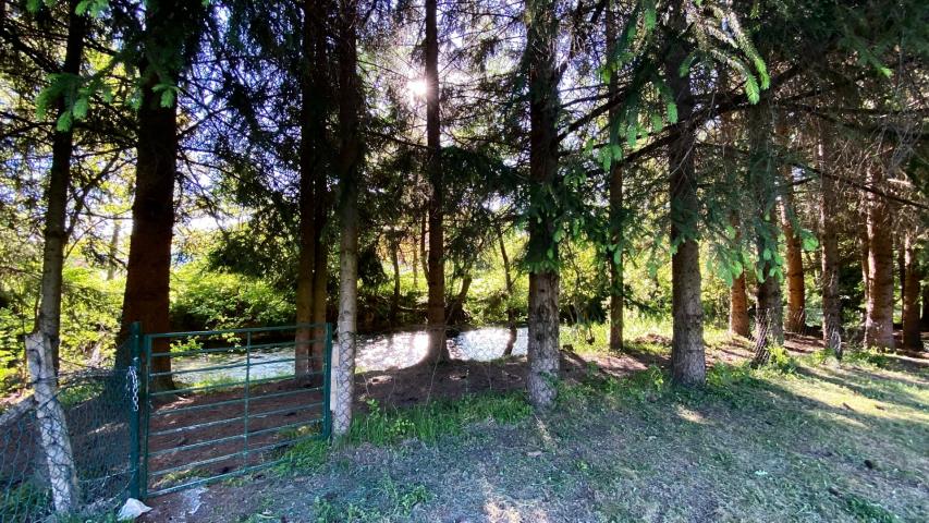 House for sale near the river, surrounded by nature, in the town of Belo Pole, village of Voljavac