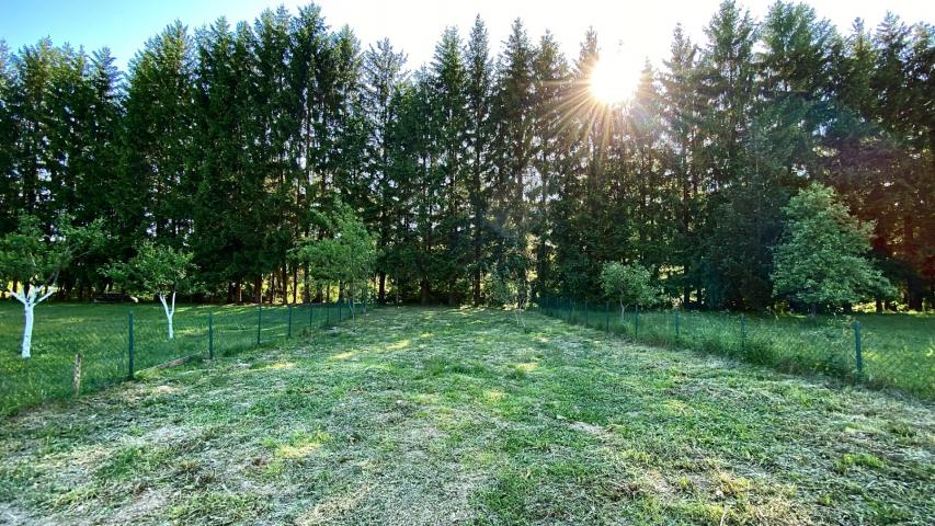 House for sale near the river, surrounded by nature, in the town of Belo Pole, village of Voljavac