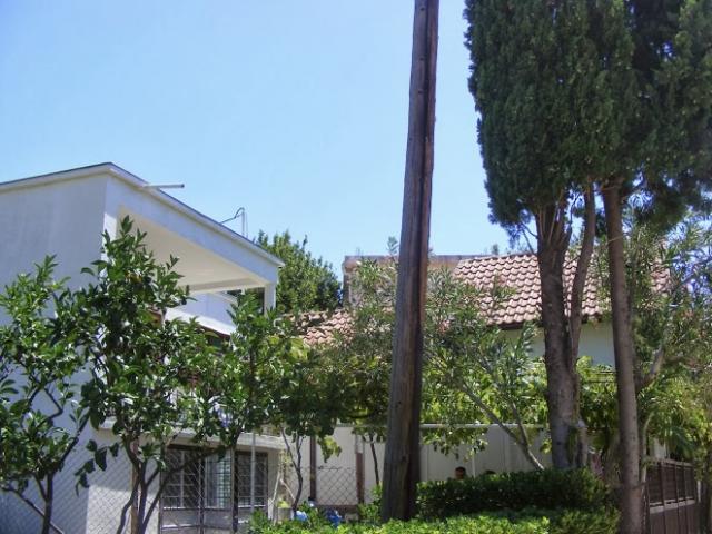 Two legal houses in Shushan