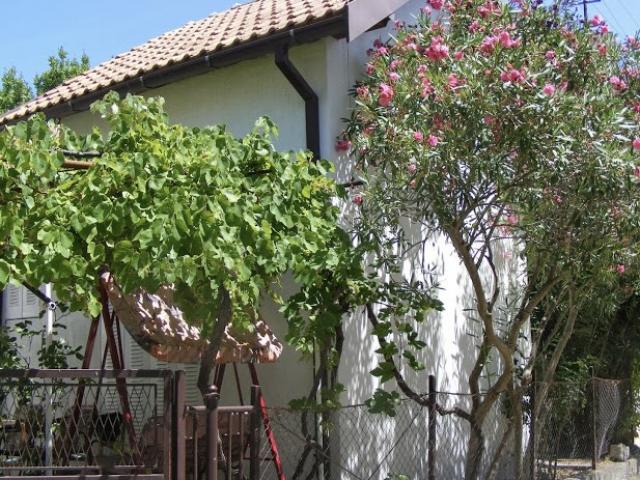 Two legal houses in Shushan