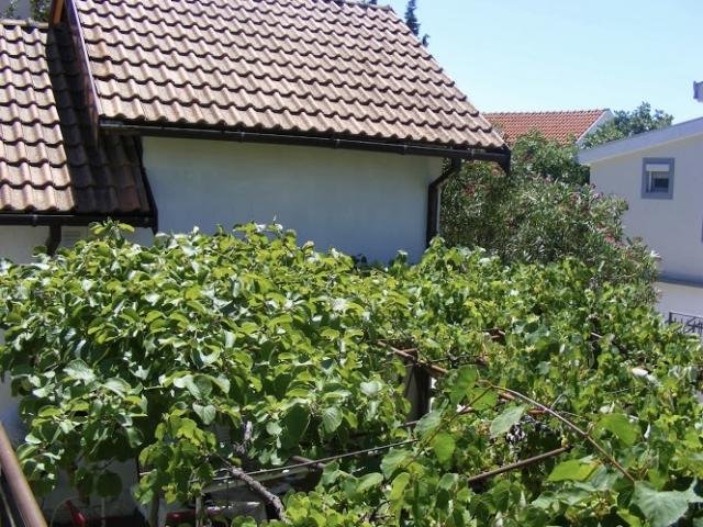 Two legal houses in Shushan