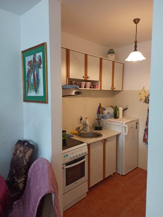 Apartment in Budva, Babin Do district