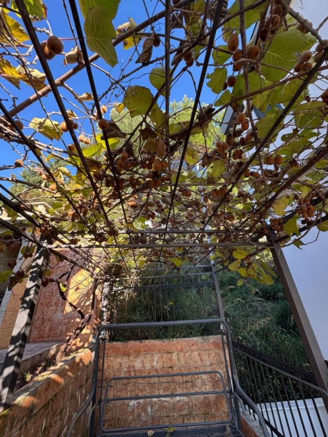 Three-story legal house in Bar (Shushanj) 142 m2 plus bonus plot of 350 m2
