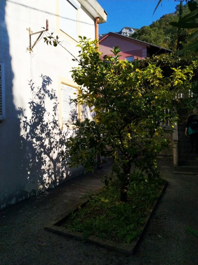 Mini-hotel in Chani