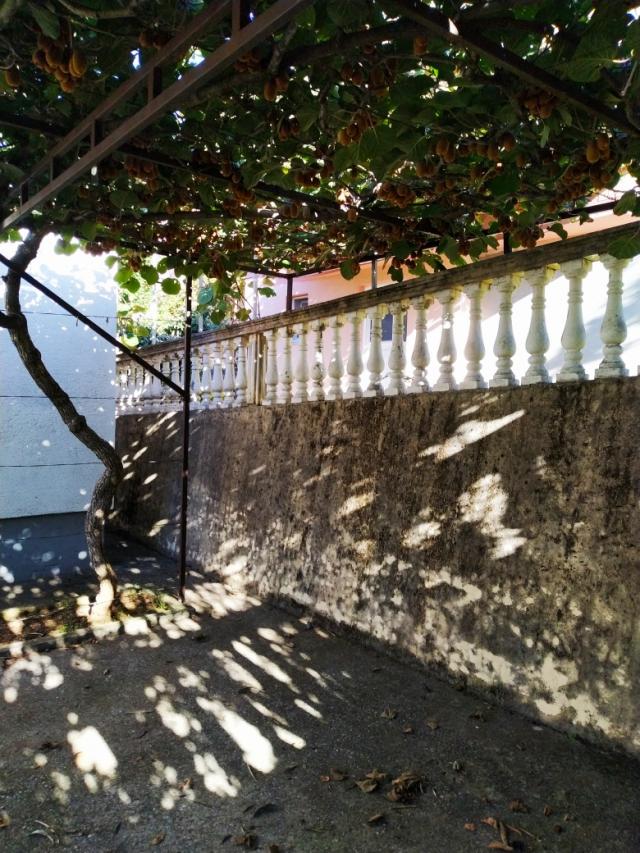 Mini-hotel in Chani