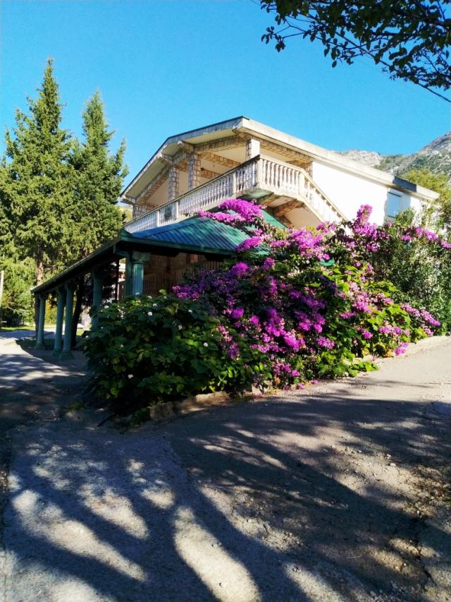 Mini-hotel in Chani