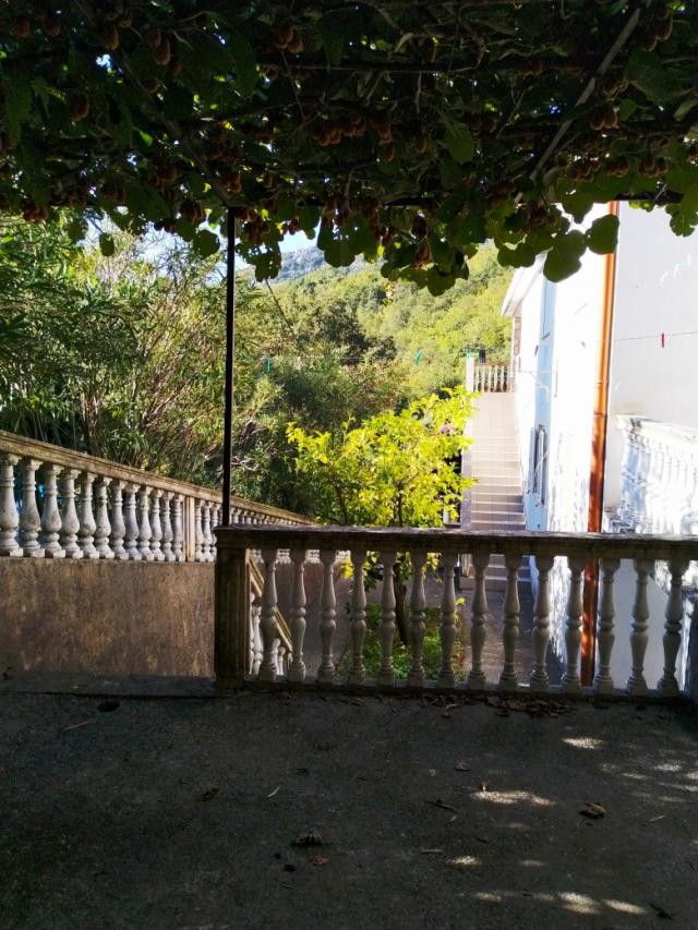 Mini-hotel in Chani