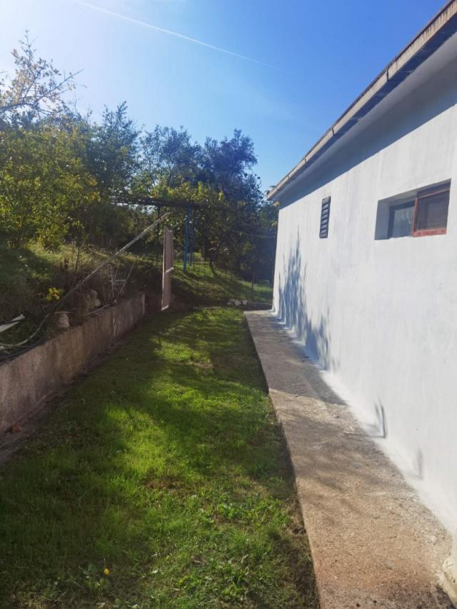 House in Old Bar with olive grove