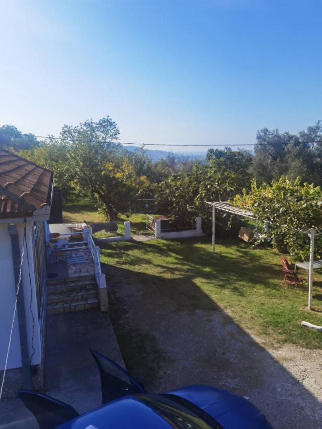 House in Old Bar with olive grove