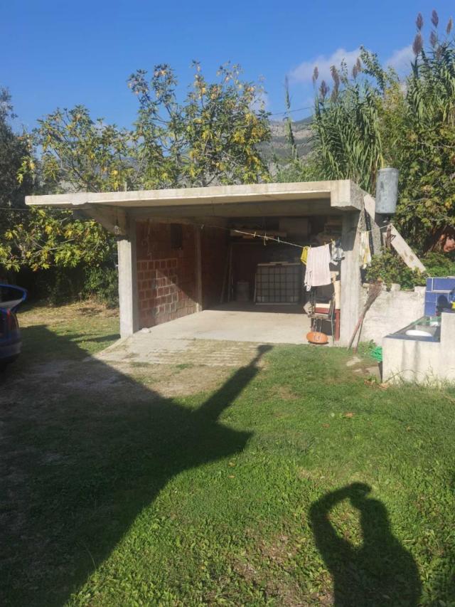 House in Old Bar with olive grove