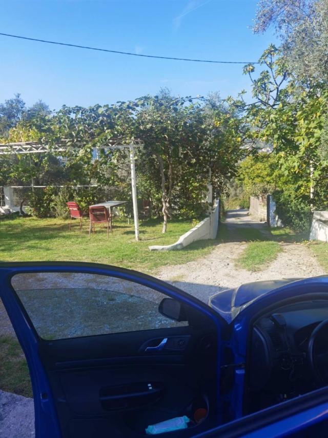 House in Old Bar with olive grove