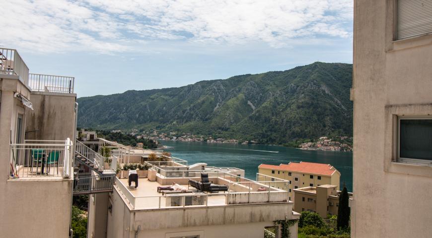 Unique apartment in a modern complex with a swimming pool (Dobrota, Kotor)