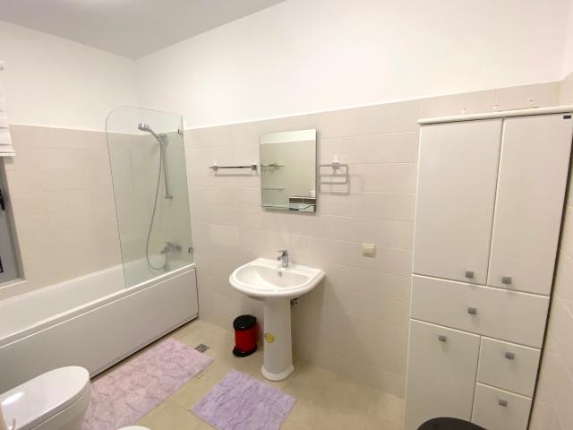 Three bedroom villa in Blizikuce