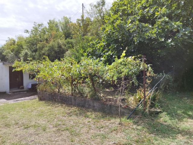 Legal one-story townhouse in Sutomore