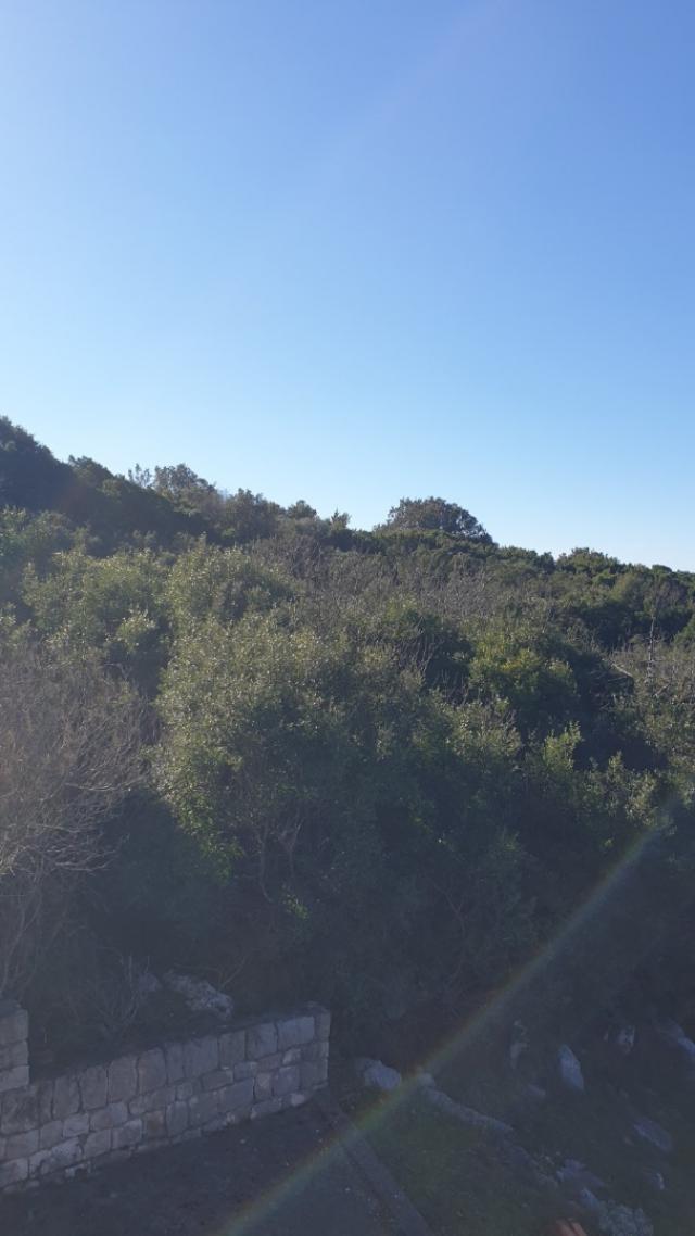 Large urbanized plot in Utekha, Bar