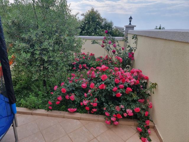 Villa with landscape design in Utekha