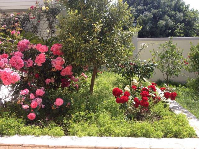 Villa with landscape design in Utekha
