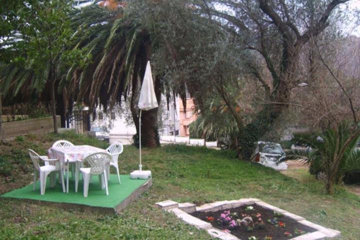 Cozy house in Petrovac in an olive grove 150 meters from the sea