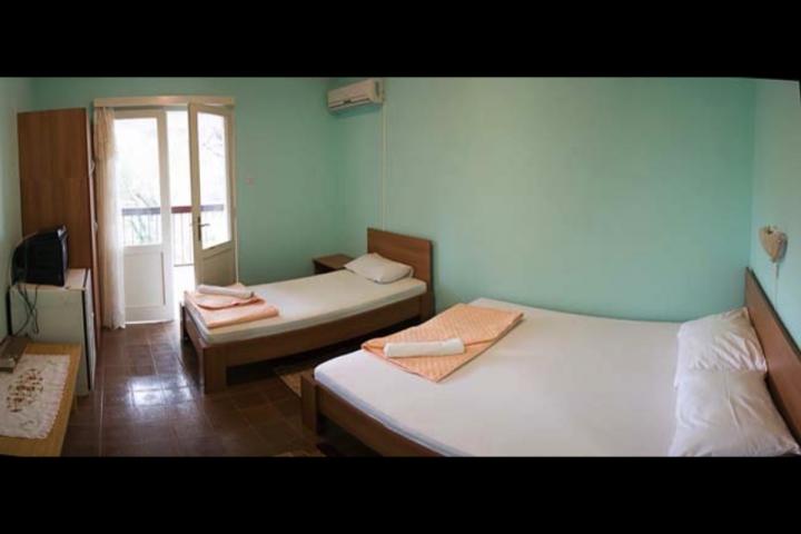 Cozy house in Petrovac in an olive grove 150 meters from the sea