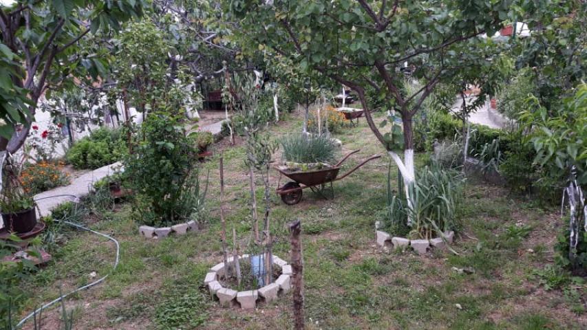 One-storey house with a large plot in Shushani, Bar