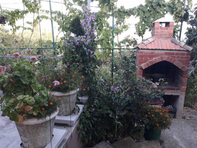 One-storey house with a large plot in Shushani, Bar