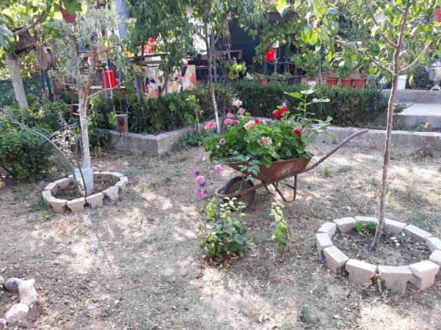 One-storey house with a large plot in Shushani, Bar
