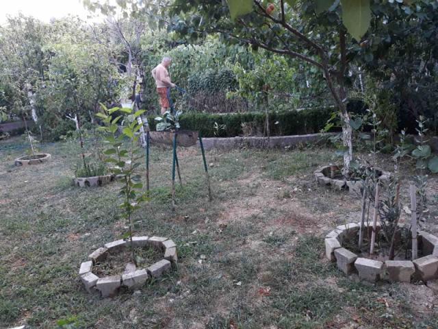 One-storey house with a large plot in Shushani, Bar