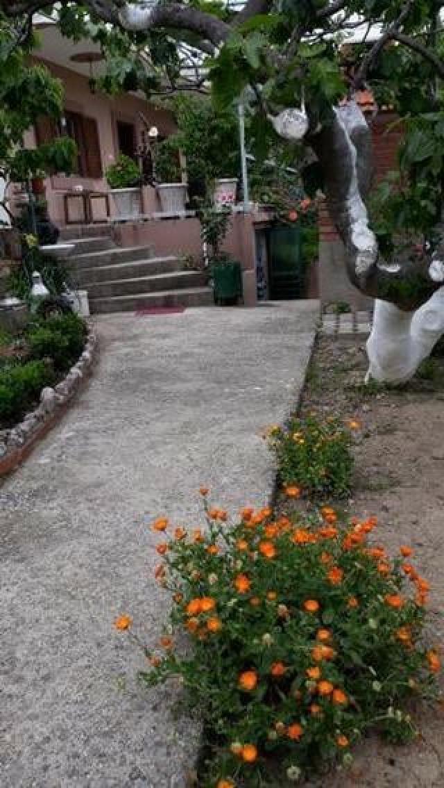 One-storey house with a large plot in Shushani, Bar