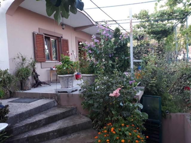 One-storey house with a large plot in Shushani, Bar