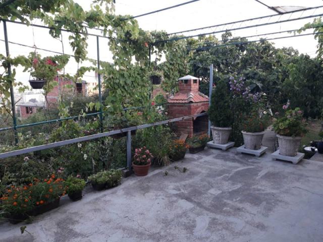 One-storey house with a large plot in Shushani, Bar