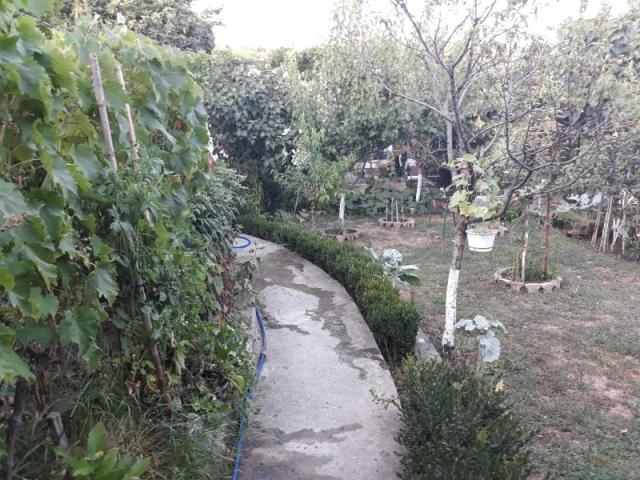 One-storey house with a large plot in Shushani, Bar