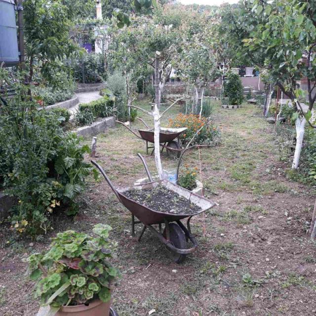 One-storey house with a large plot in Shushani, Bar